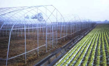 農用簡易大棚安裝