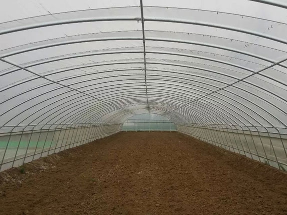 拱形薄膜溫室大棚