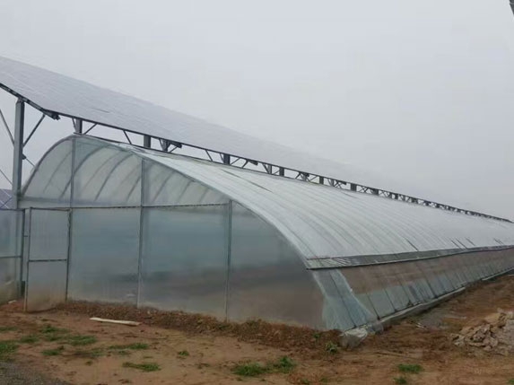 橢圓管光伏大棚圖片 橢圓管光伏大棚圖片