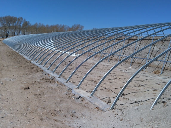 橢圓管大棚高清圖片 橢圓管大棚高清圖片