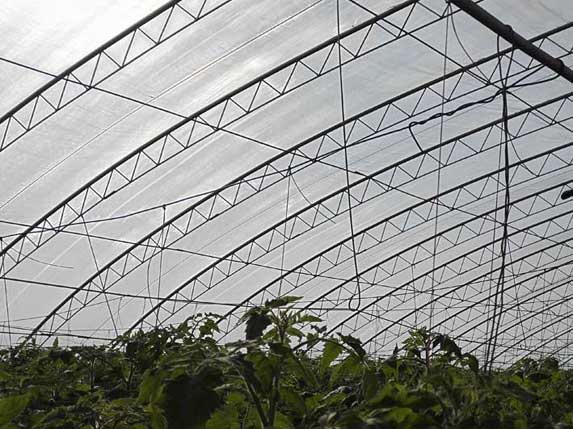 日光溫室——暖棚圖片