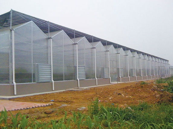 尖頂形連棟溫室大棚 尖頂形連棟溫室大棚
