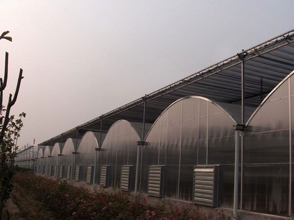 標準薄膜連棟溫室圖片 標準薄膜連棟溫室圖片