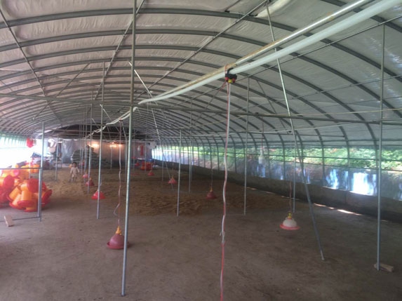 2016新式蛋雞養殖大棚高清圖片 2016新式蛋雞養殖大棚高清圖片