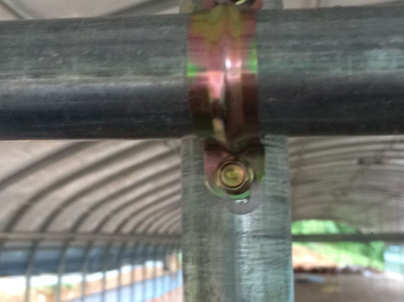 2016新式蛋雞養殖大棚 2016新式蛋雞養殖大棚