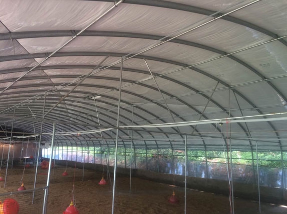 2016新式蛋雞養殖大棚高清圖片2 2016新式蛋雞養殖大棚高清圖片2