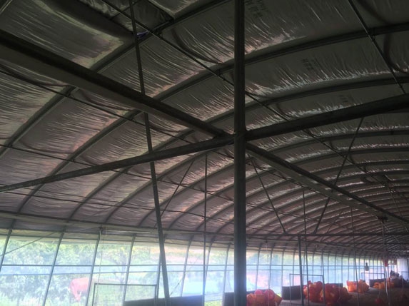 新式養雞大棚圖片 新式養雞大棚圖片