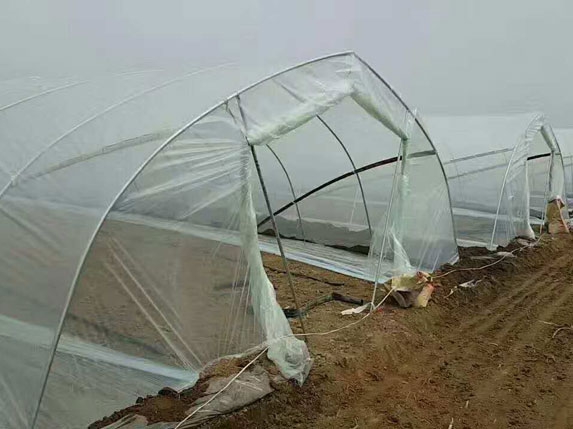 6米管簡體大棚(6分大棚管)圖片2 6米管簡體大棚(6分大棚管)圖片2