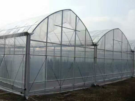 薄膜連棟大棚圖片 薄膜連棟大棚圖片