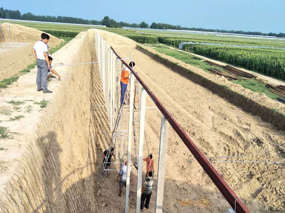 后墻圖片 后墻圖片