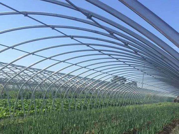 橢圓大棚管實際安裝效果圖 橢圓大棚管實際安裝效果圖