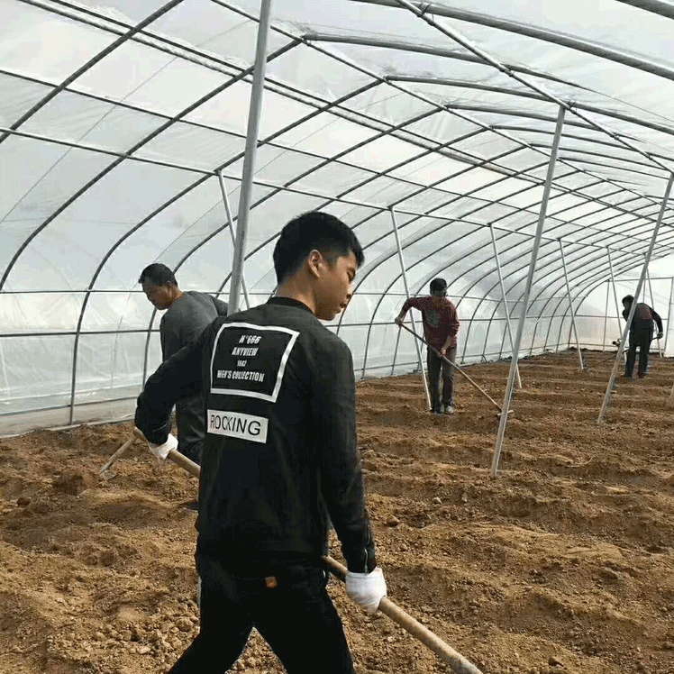 簡易拱棚高清圖片 簡易拱棚高清圖片