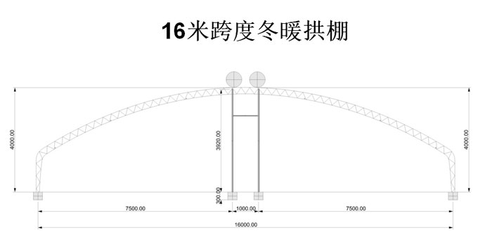 16米跨度冬暖式拱棚圖紙 16米跨度冬暖式拱棚圖紙
