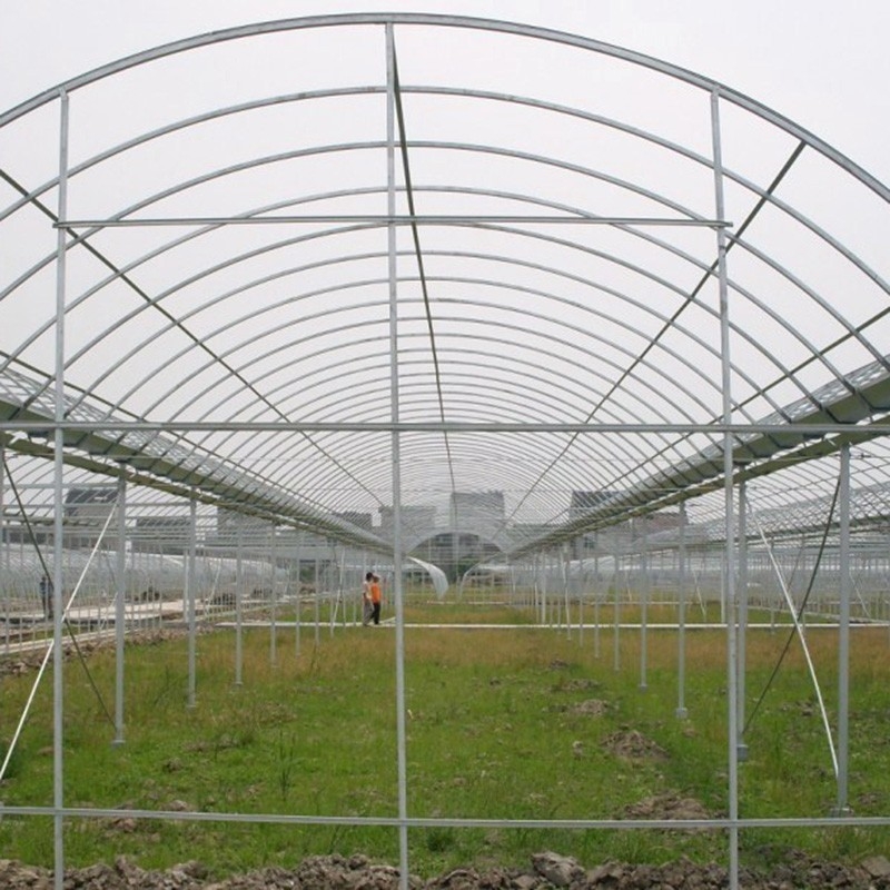 溫室大棚鋼管圖片 溫室大棚鋼管圖片