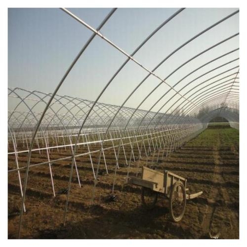 溫室大棚鋼管圖片 溫室大棚鋼管圖片