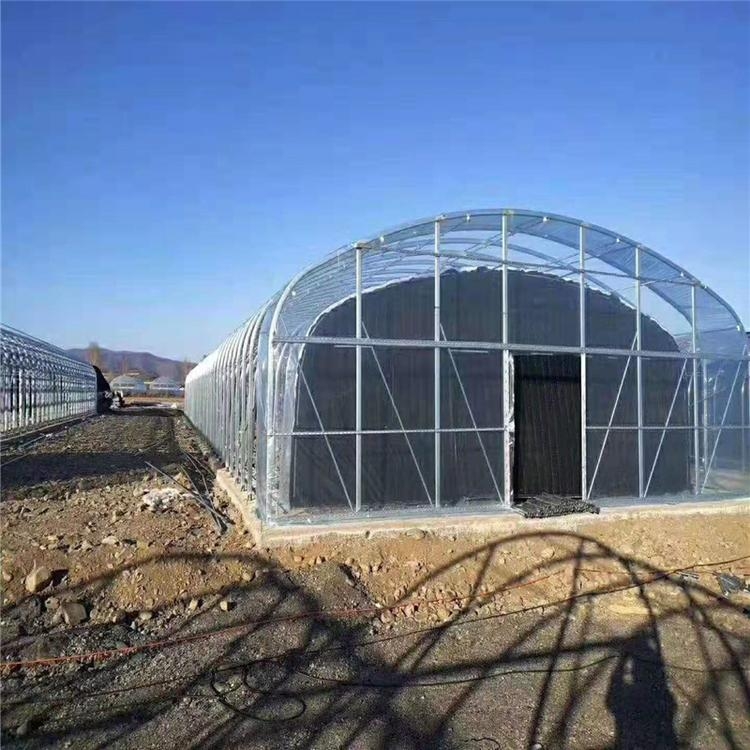日光溫室大棚圖片 日光溫室大棚圖片