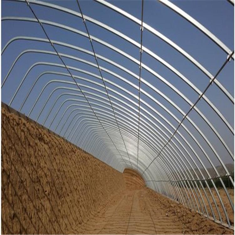 半地下冬暖式大棚圖片