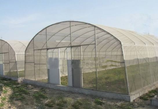 薄膜溫室大棚圖片