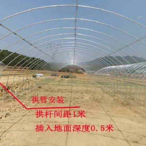 溫室大棚安裝圖片