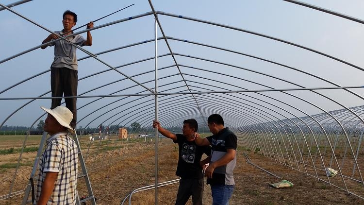 溫室大棚安裝圖片